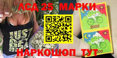 spice Тара