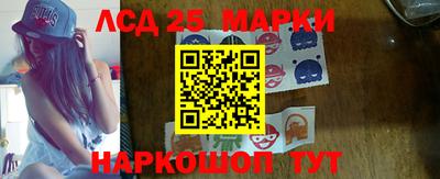 spice Тара