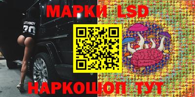 spice Тара