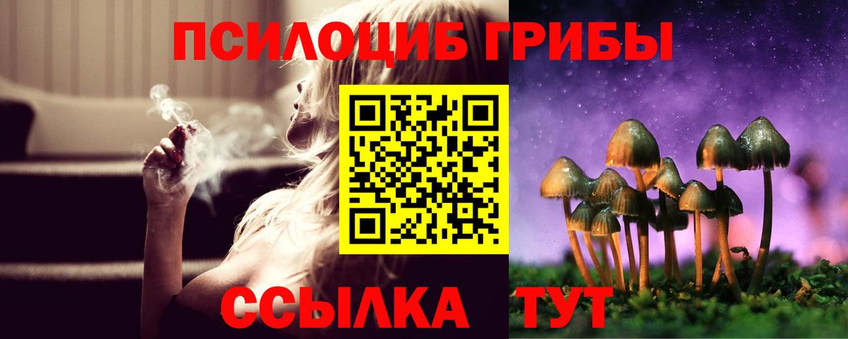 закладки  Вход с VPN  Касимов  Галлюциногенные грибы GOLDEN TEACHER  Псилоцибиновые грибы мицелий 